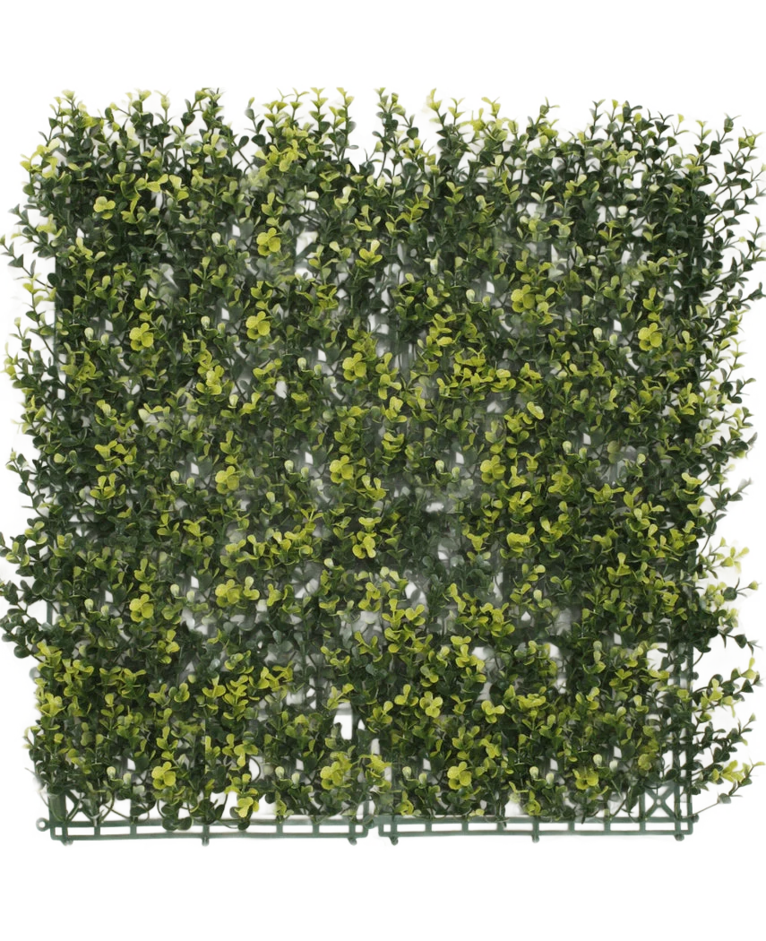 Vorschaubild 1