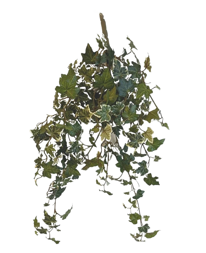 Vorschaubild 1